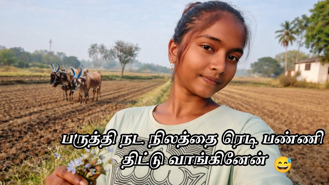 திட்டு வாங்குறதே😩 பருத்தி விவசாயம் 🌱#விவசாயம்#vlogger#villagevlog#vivasayamstatus#vivasayamkappom