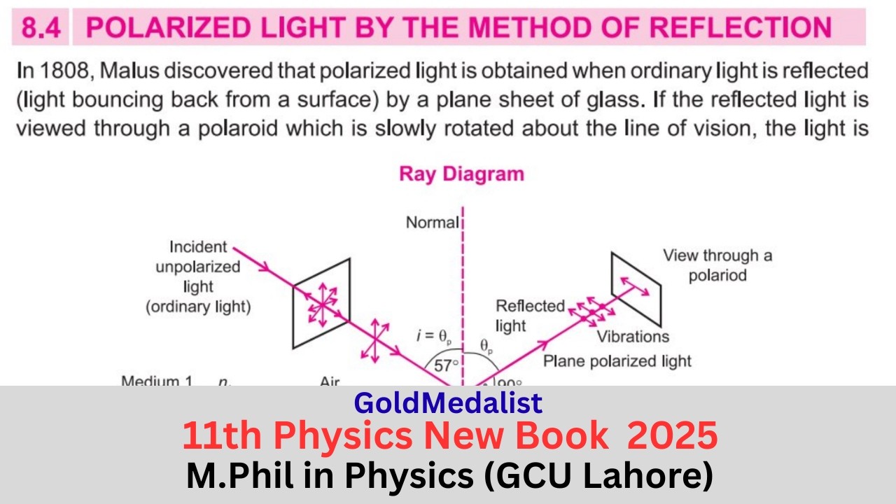 Polarized Light by the Method of Reflection | Class 11th Physics New Book 2025| PECTAA | Lecture 8.4