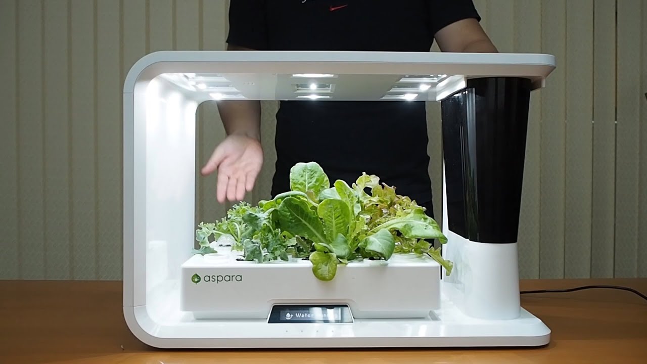 Unboxing PerfectPrime aspara AS1001WH Hydroponic Smart Grower