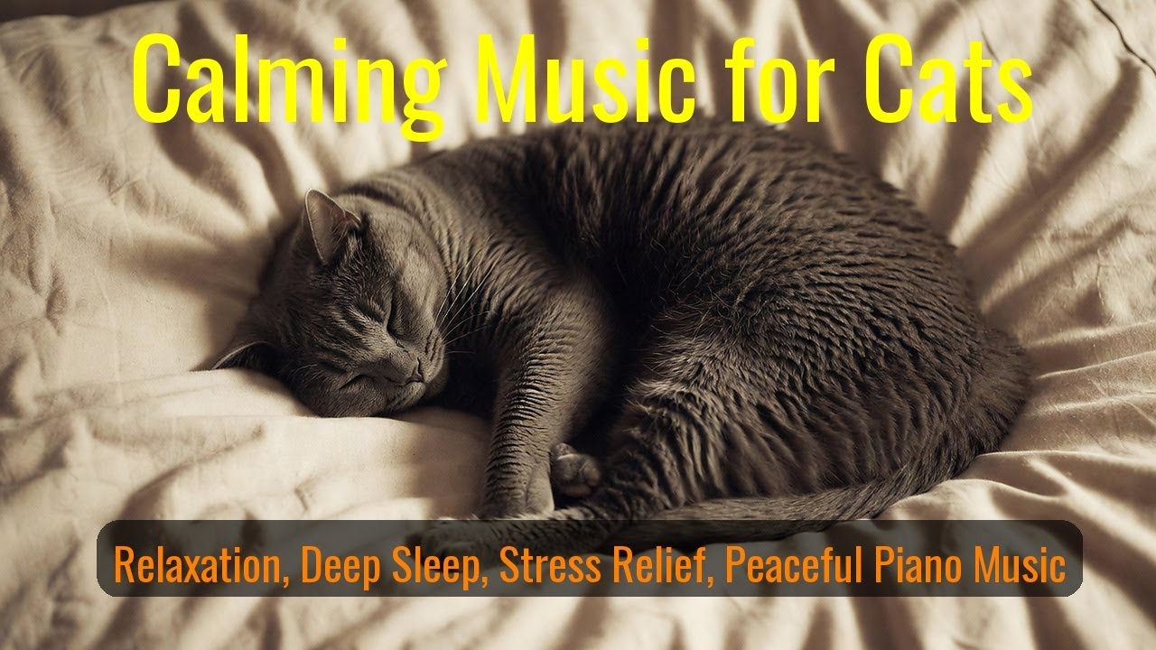 Calming Music for Cats - Relaxation, Deep Sleep, Stress Relief, Peaceful Piano Music | Season 18