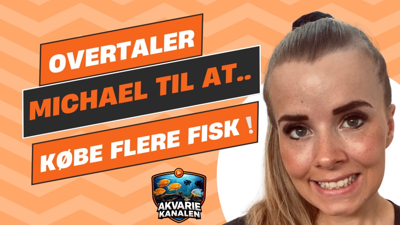MARIA OVERTALER MICHAEL TIL AT KØBE FLERE NYE FISK