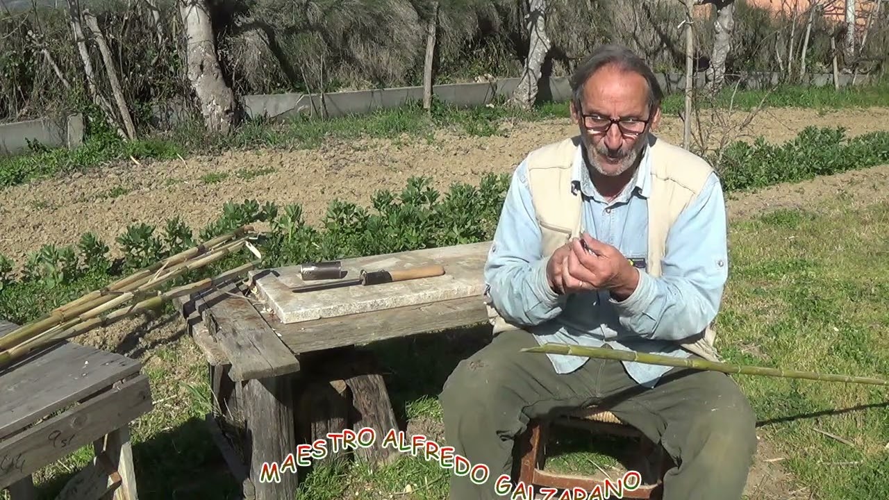 COME TROVARE LE CANNE PER FARE UN PANARO O CESTO TERRANOVA DA SIBARI MAESTRO ALFREDO GALZARANO