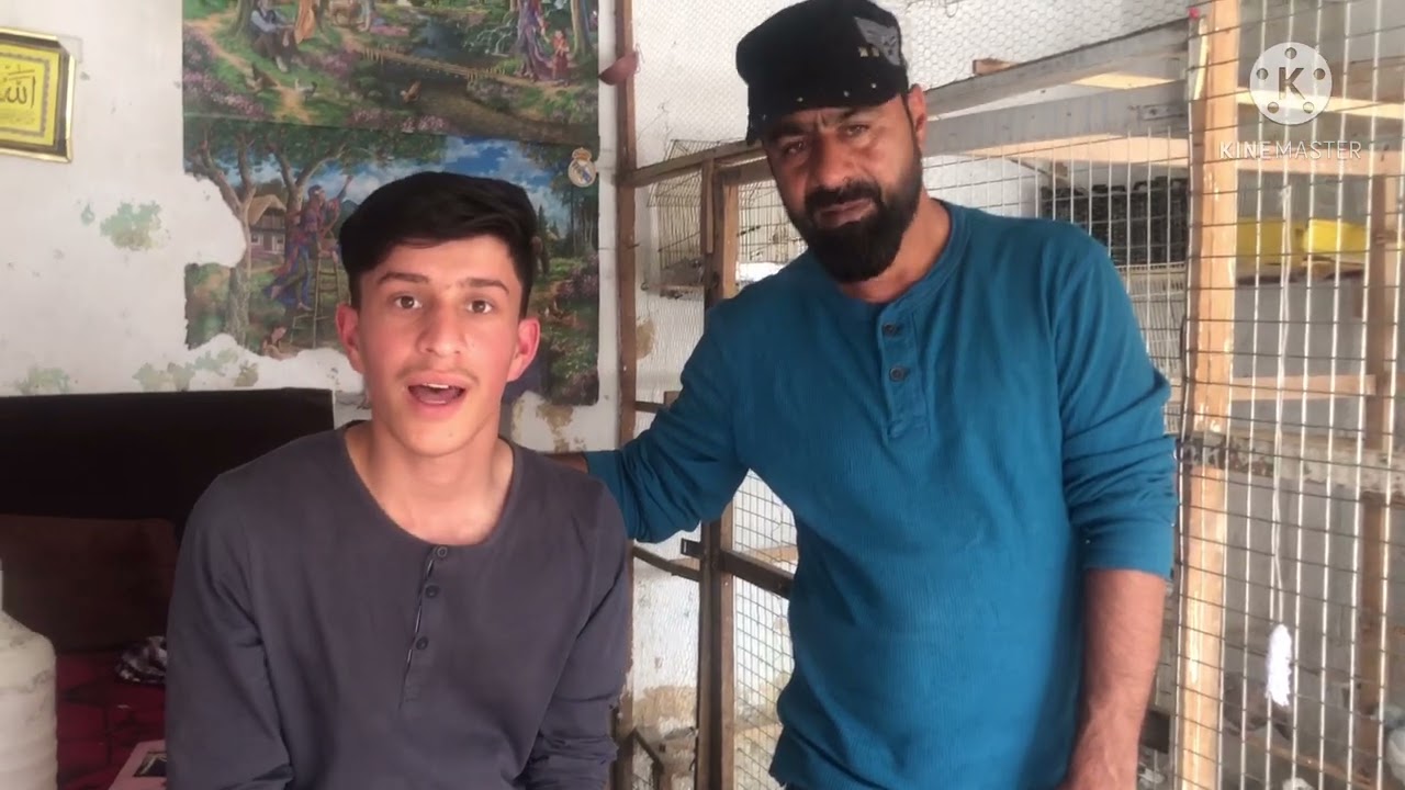 [] Kabul Pigeons in Kocheh halabi sazai with [] كفتر هاي كابل آفتاب ساحه كوته سنگي كوچه حلبي سازي []