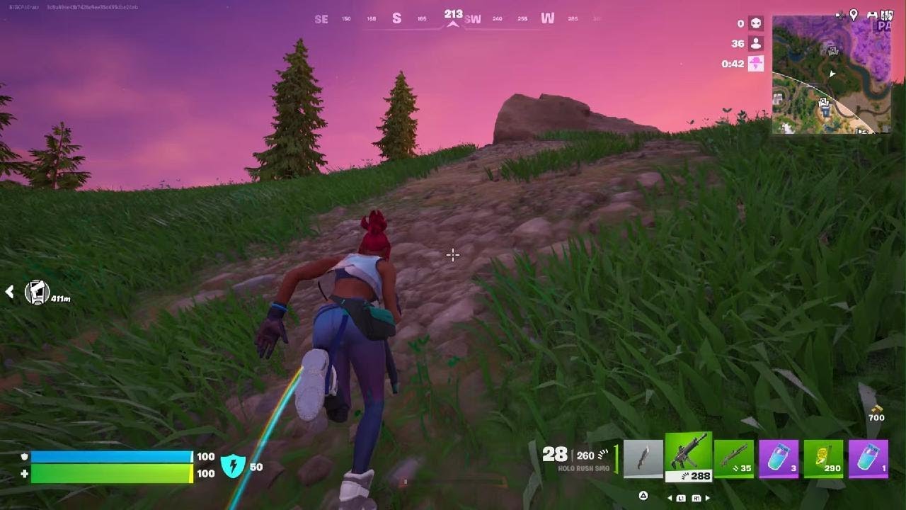 Fortnite_win
