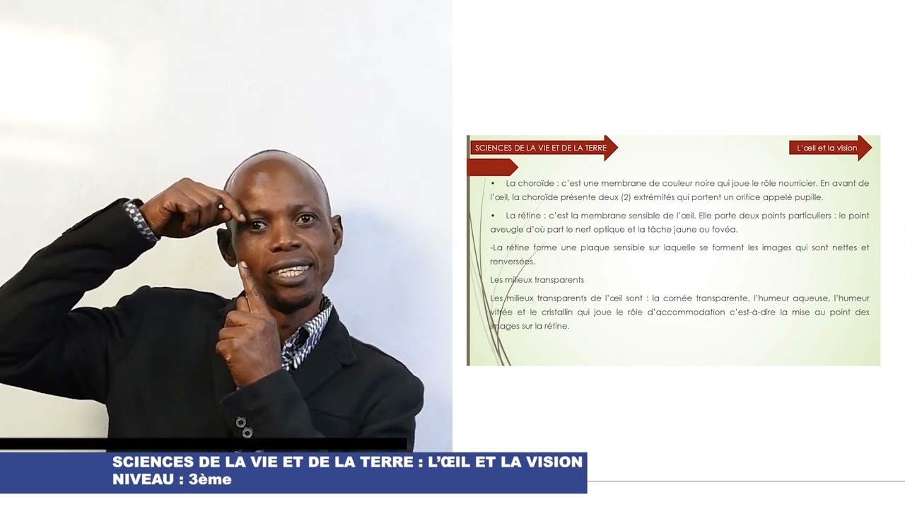 L’œil et la vision: Cours de SVT Niveau 3e