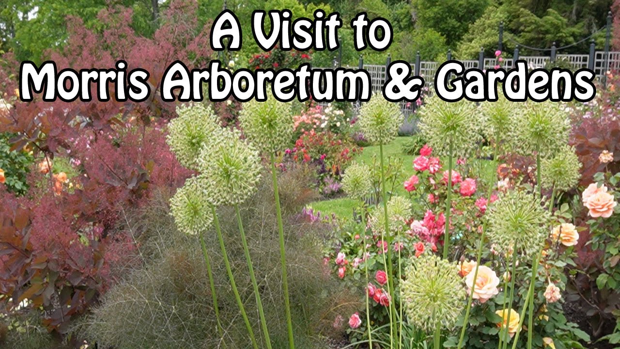 Morris Arboretum & Gardens of the University of Pennsylvania Garden Tour in May 🌹