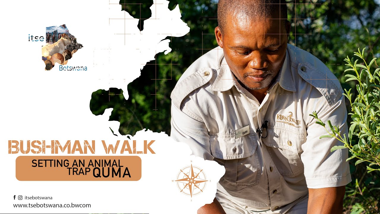BUSHMAN WALK | SETTING A WILD ANIMAL TRAP IN CENTRAL KALAHARI, DINAKA CAMP