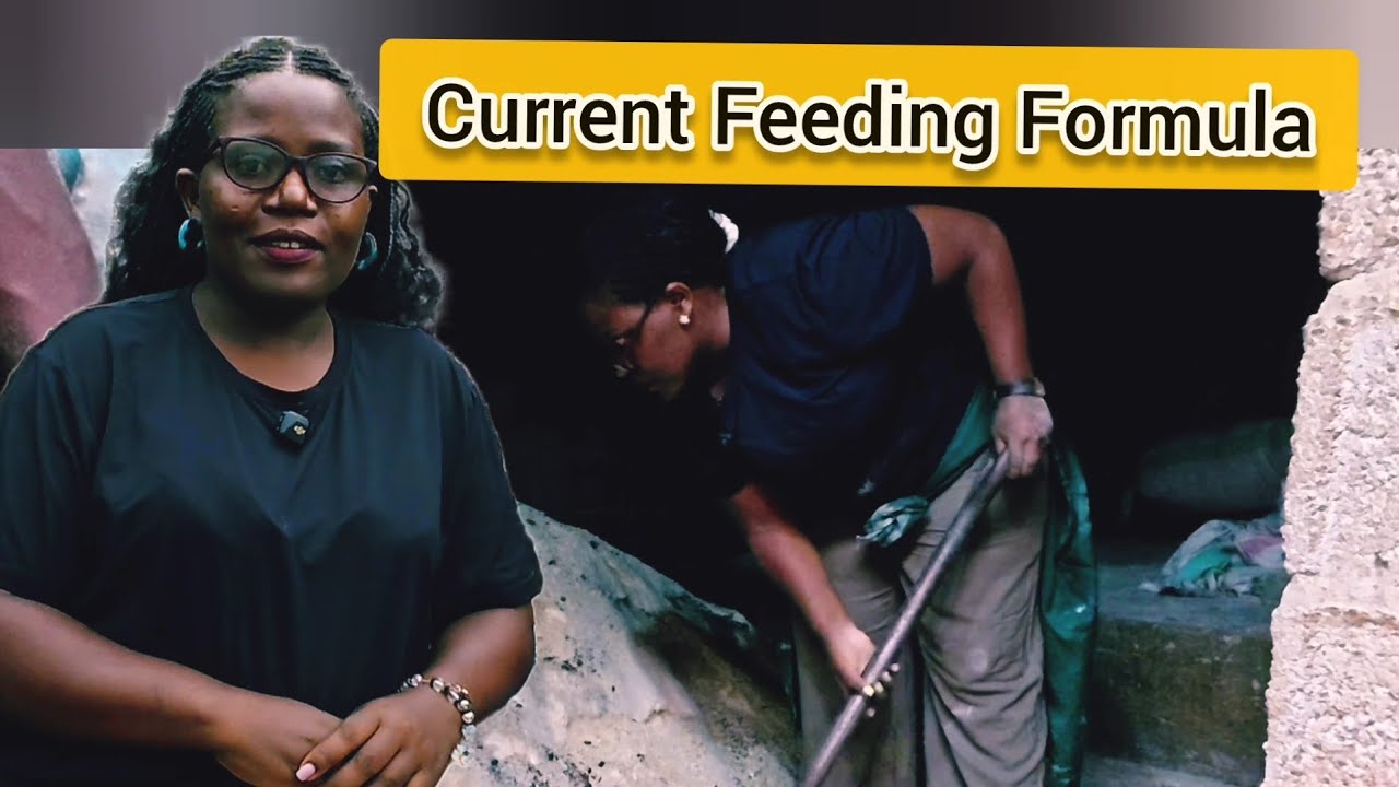 How I Formulate My Feeds For My Farm! COST EFFECTIVE AND GIVES HIGH PRODUCTION!!!