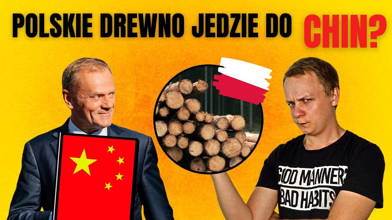 WYCINKI LASÓW, cała PRAWDA nt. 16 lat rządów PO-PiS