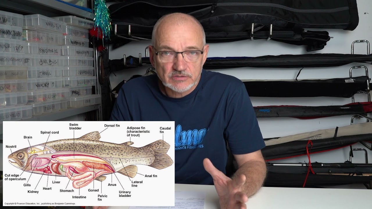 Q&A odcinek 32 - Jak ustawić hamulec w kołowrotku i jak szczupak reaguje na zmiany ciśnienia.