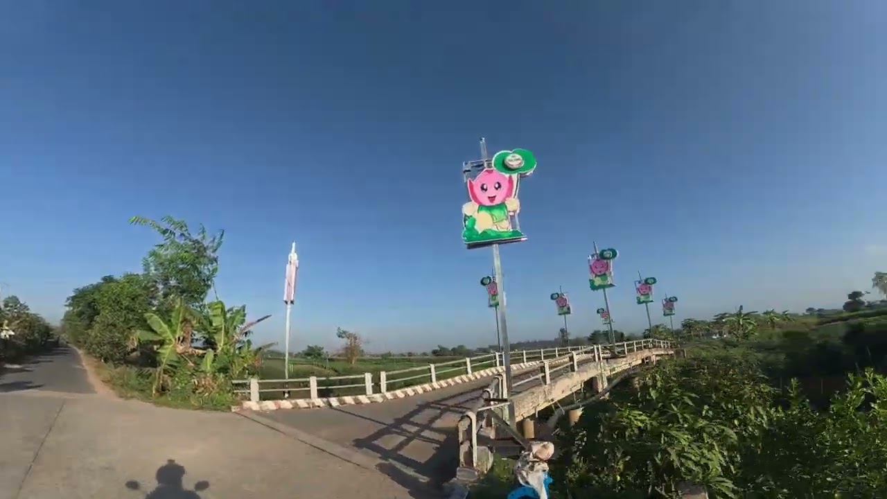 CON ĐƯỜNG LẠ LẮM