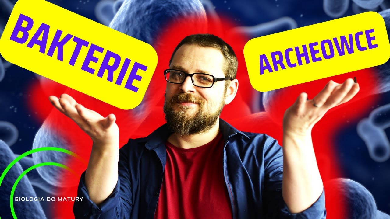Bakterie i Archeowce | Gram dodatnie i Gram ujemne | Prokarionty | metoda Grama