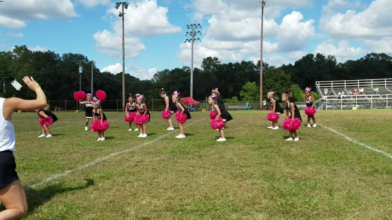2016 GBYAA PeeWee CHEER dance