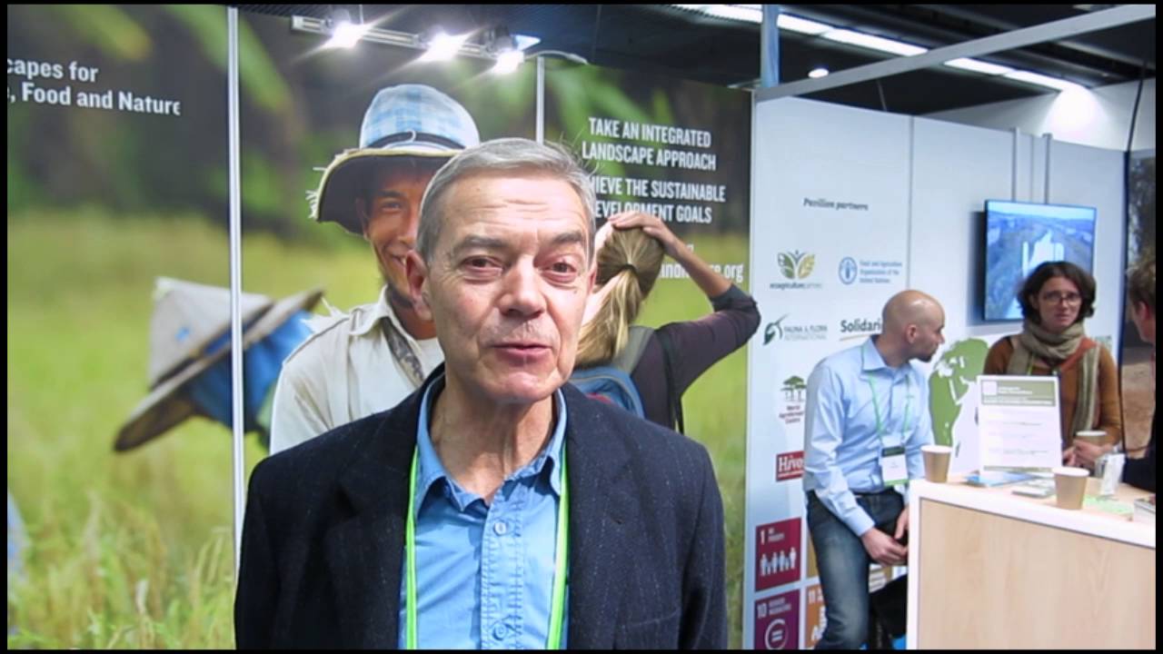 We Asked: How can Integrated Landscape Management help Achieve the SDGs