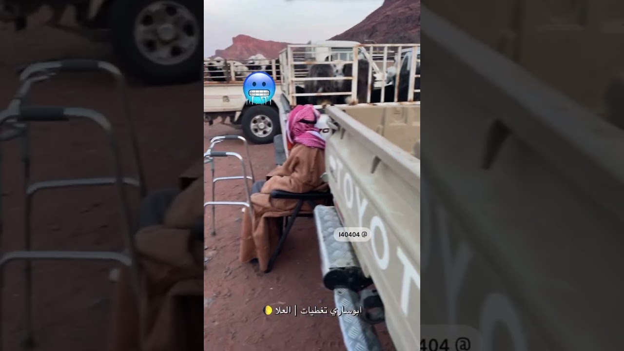 تربية الغنم بركة شاهدوا سوق العلا - الاربعاء 1447/8/2