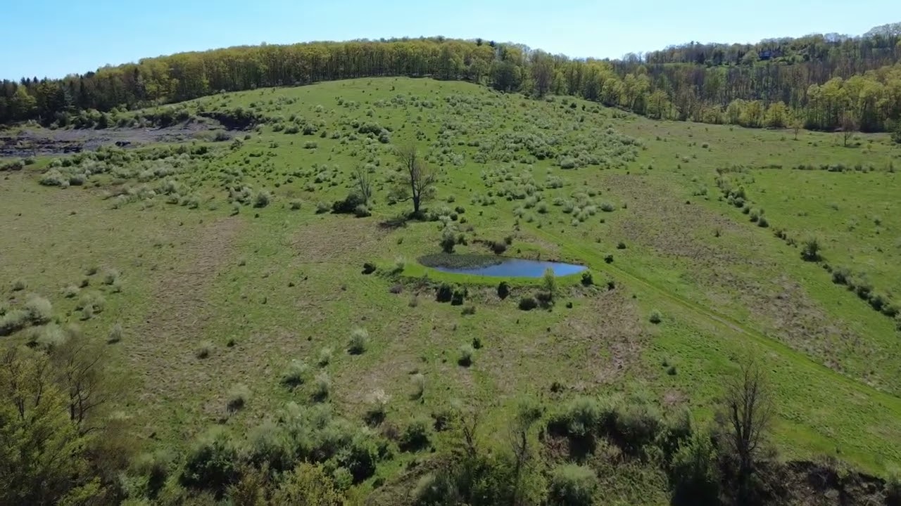 Scenic Pasture Drone Footage