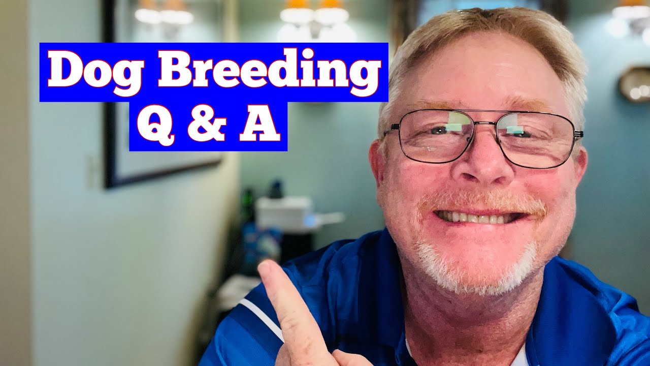 How To Breed Dogs - 16 Tips For Getting Started! Q&A