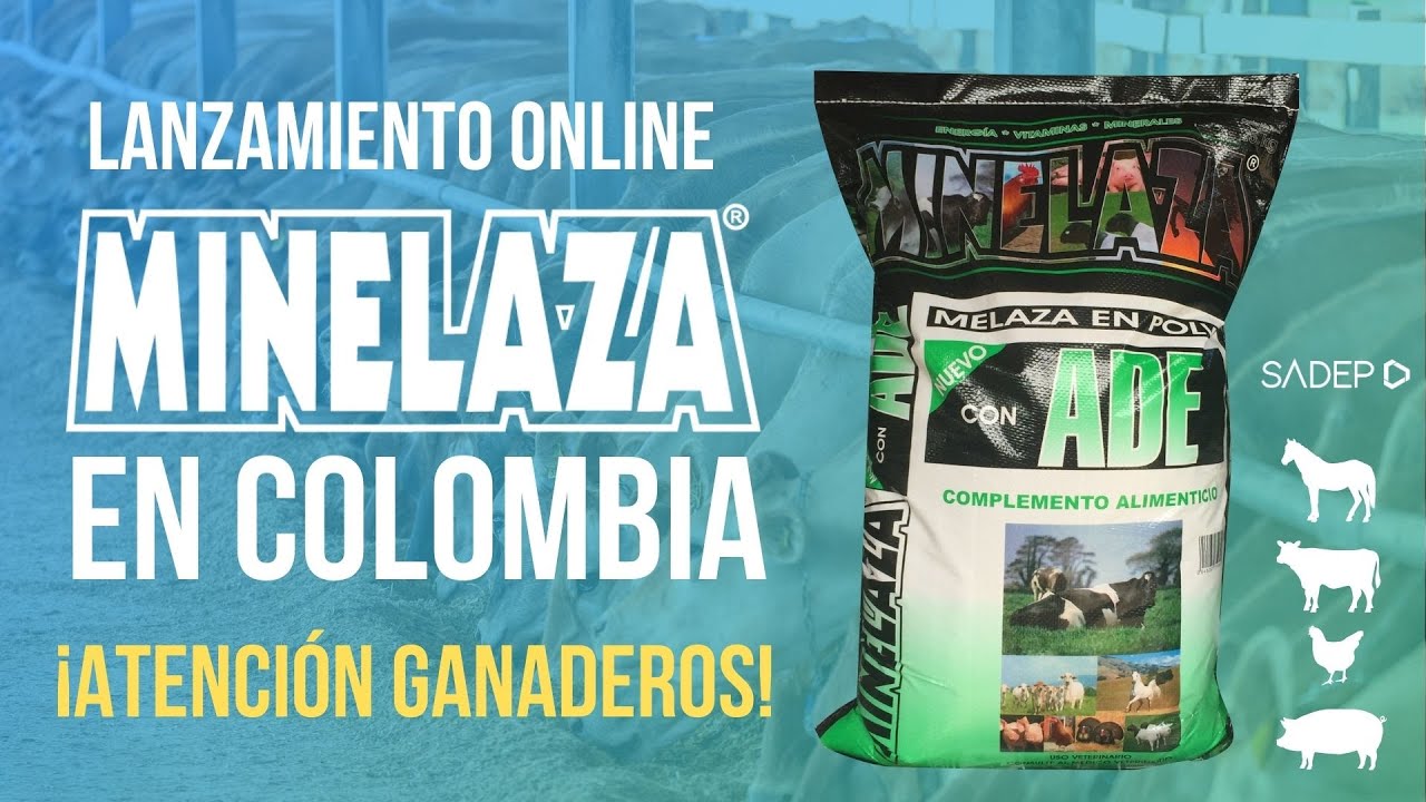 LANZAMIENTO ONLINE MINELAZA COLOMBIA