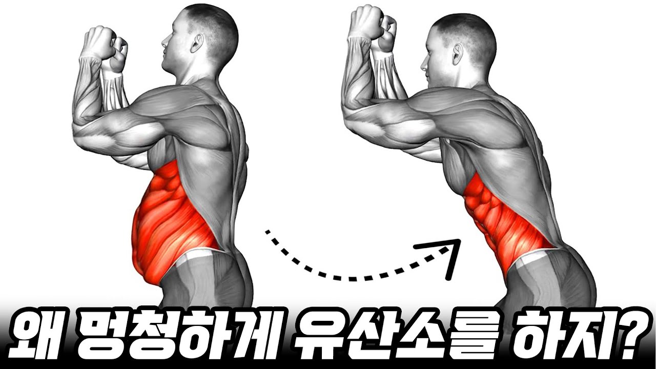 뱃살 빼는데 유산소는 왜 하세요? (복근 빠르게 만드는 루틴 / 뱃살 빼는 운동 방법)