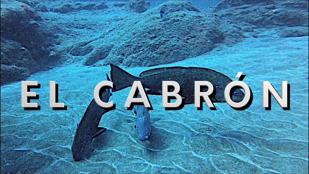BUCEO en GRAN CANARIA (El Cabr&oacute;n) en 4K (GOPRO HERO 8) en OCTUBRE de 2021 🤿🐟🐠🇪🇸