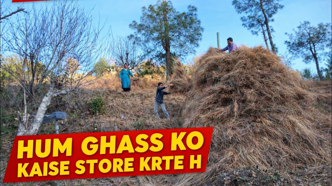 Aaj Main Dikhaungi Hum Ghaas Ko Kaise Store Karte Hain | Village Life Vlog