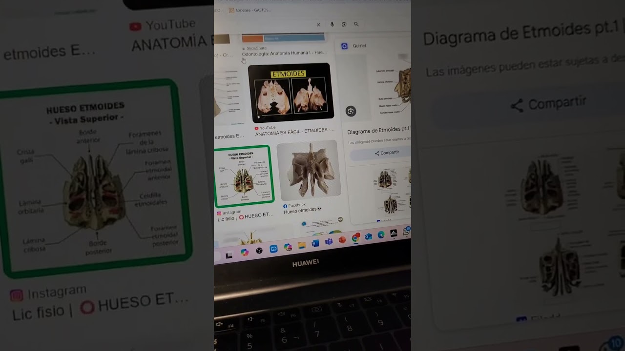 Hueso etmoides explicación