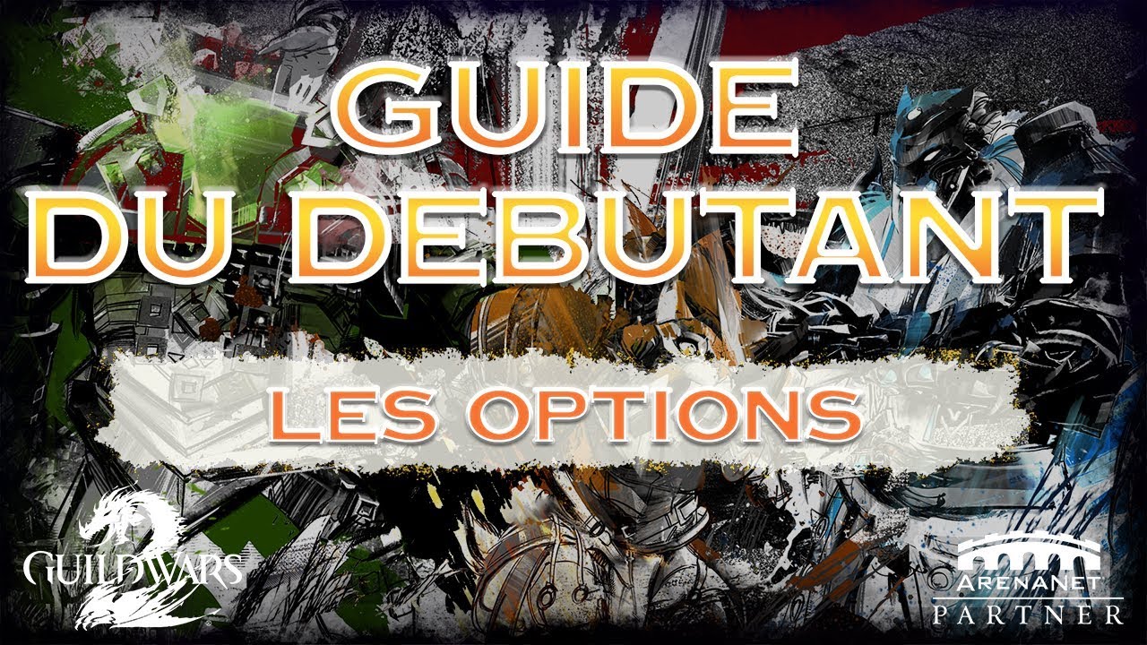 Guild Wars 2 - Guide du D&eacute;butant - Les options