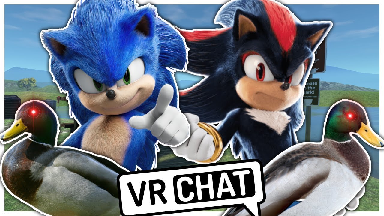 Movie Sonic and Movie Shadow Go On A Picnic In VR CHAT!!