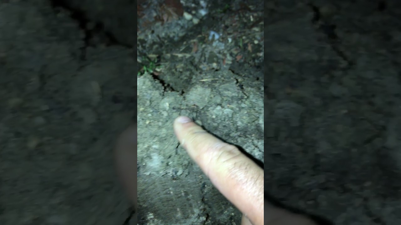 Gold and silver with the delta 4000