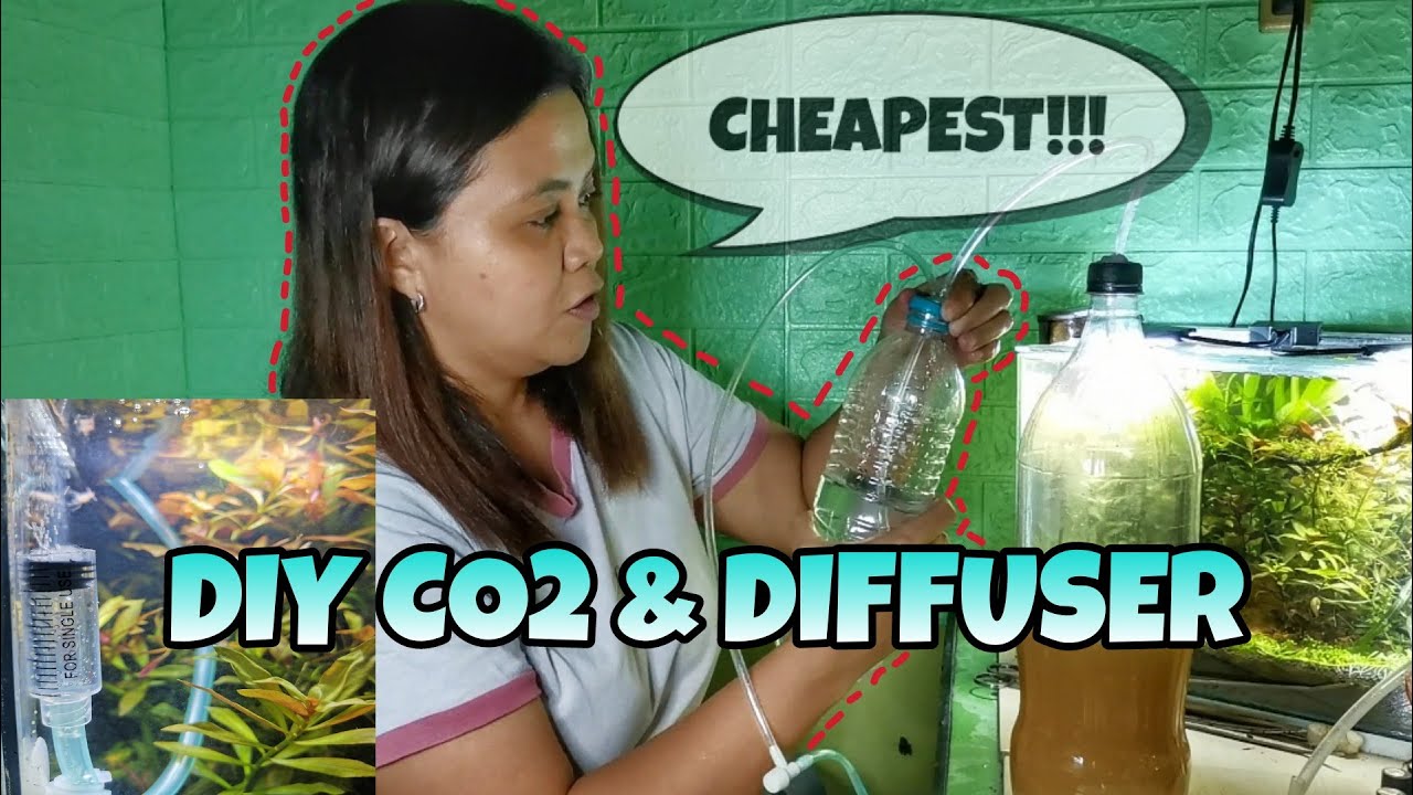 CHEAPEST! DIY Co2 and Diffuser for Planted Aquarium