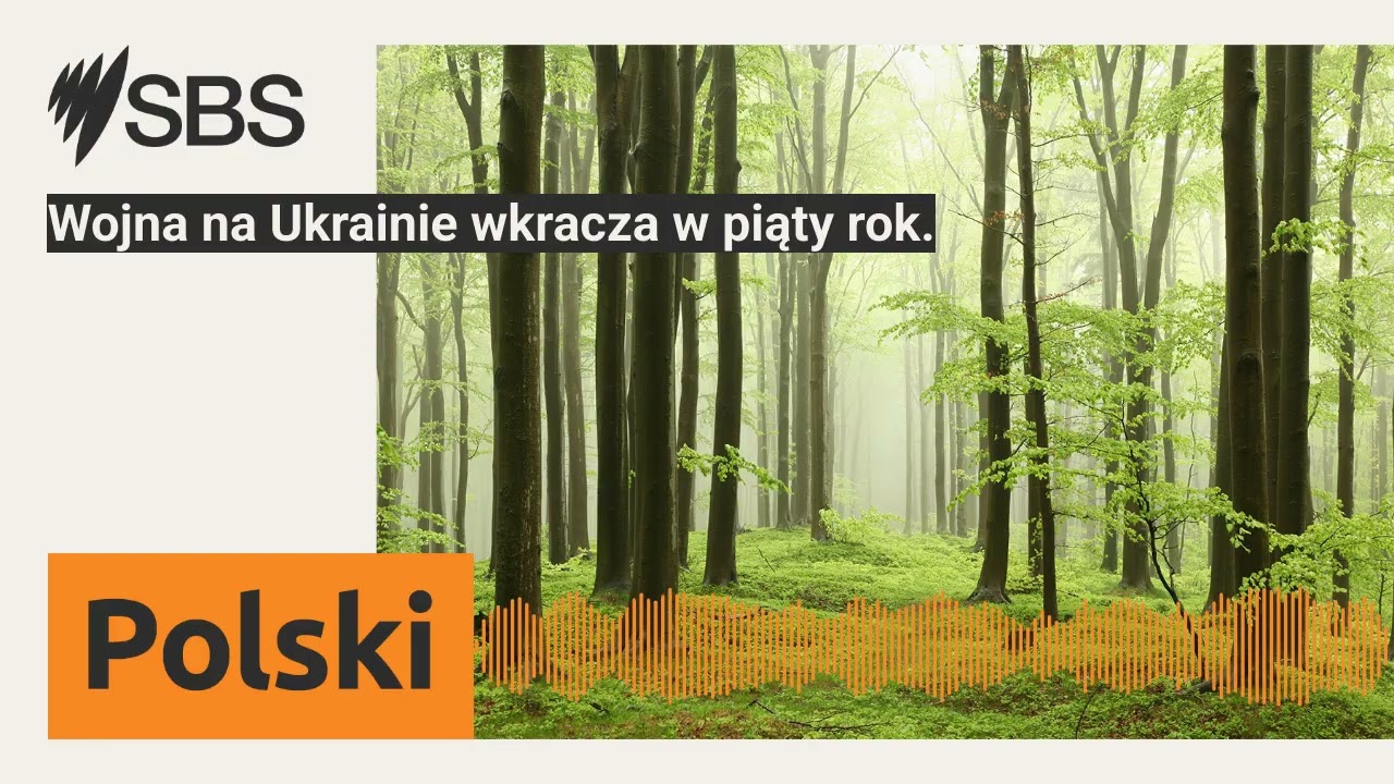 Wojna na Ukrainie wkracza w piąty rok. | SBS Polish - SBS po polsku