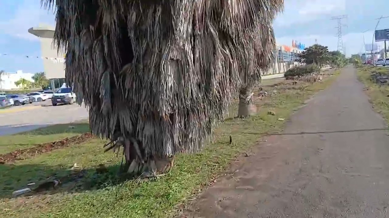 Mi Camino por la Ciclopista  Huayacan