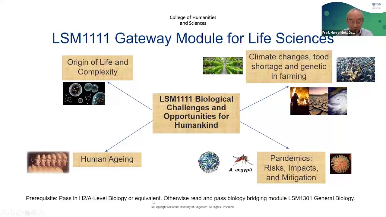Life Sciences Programme Talk: CHS NUS Open House 2021
