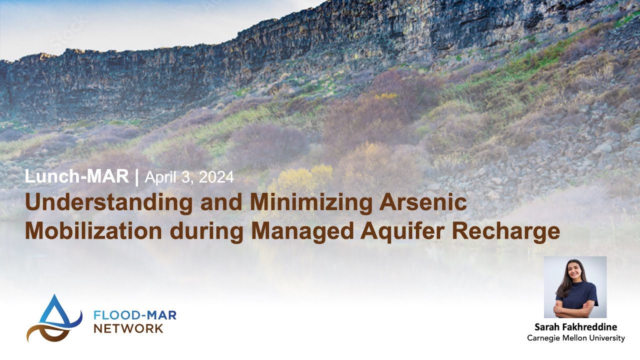 LunchMAR | Understanding and Minimizing Arsenic Mobilization during MAR  (April 2024)