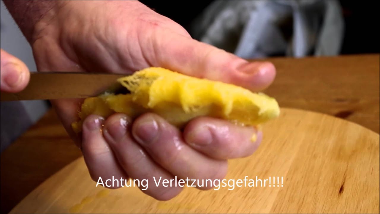 Mango   vom Kern zur Pflanze / HOW TO GROW MANGO TREE