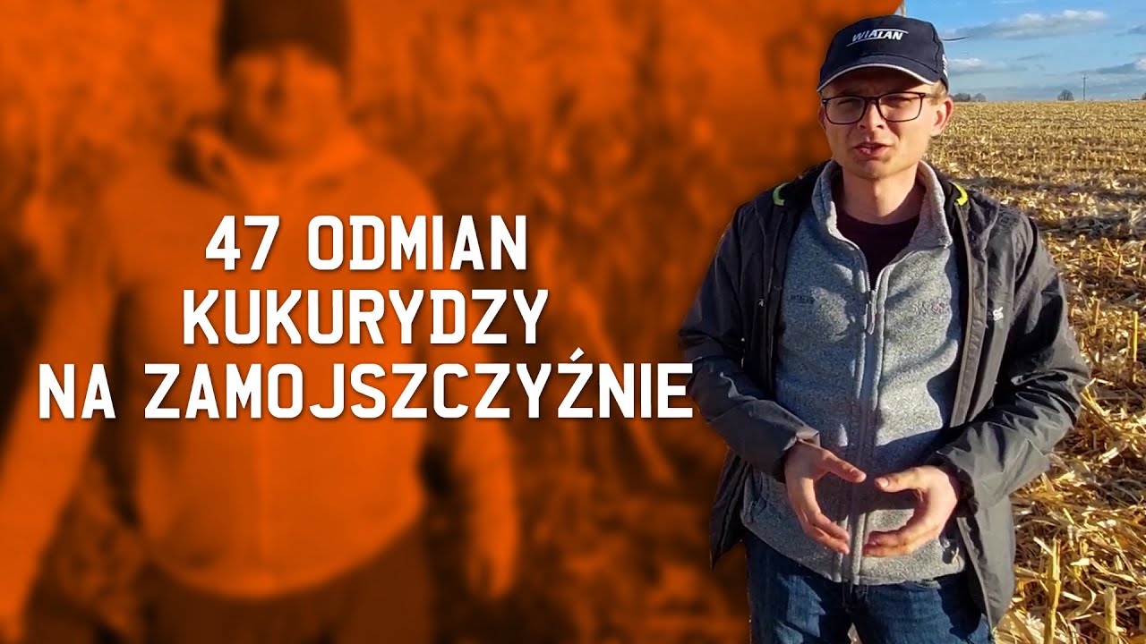 47 ODMIAN KUKURYDZY NA ZAMOJSZCZYŹNIE.