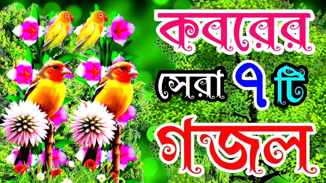 খুবই দুঃখের কবরের শেষ বিদায়ের কষ্টের সেরা মায়াবী কন্ঠে মন প্রাণ জোড়ানো ৭টি গজল, gojol, new gojol,