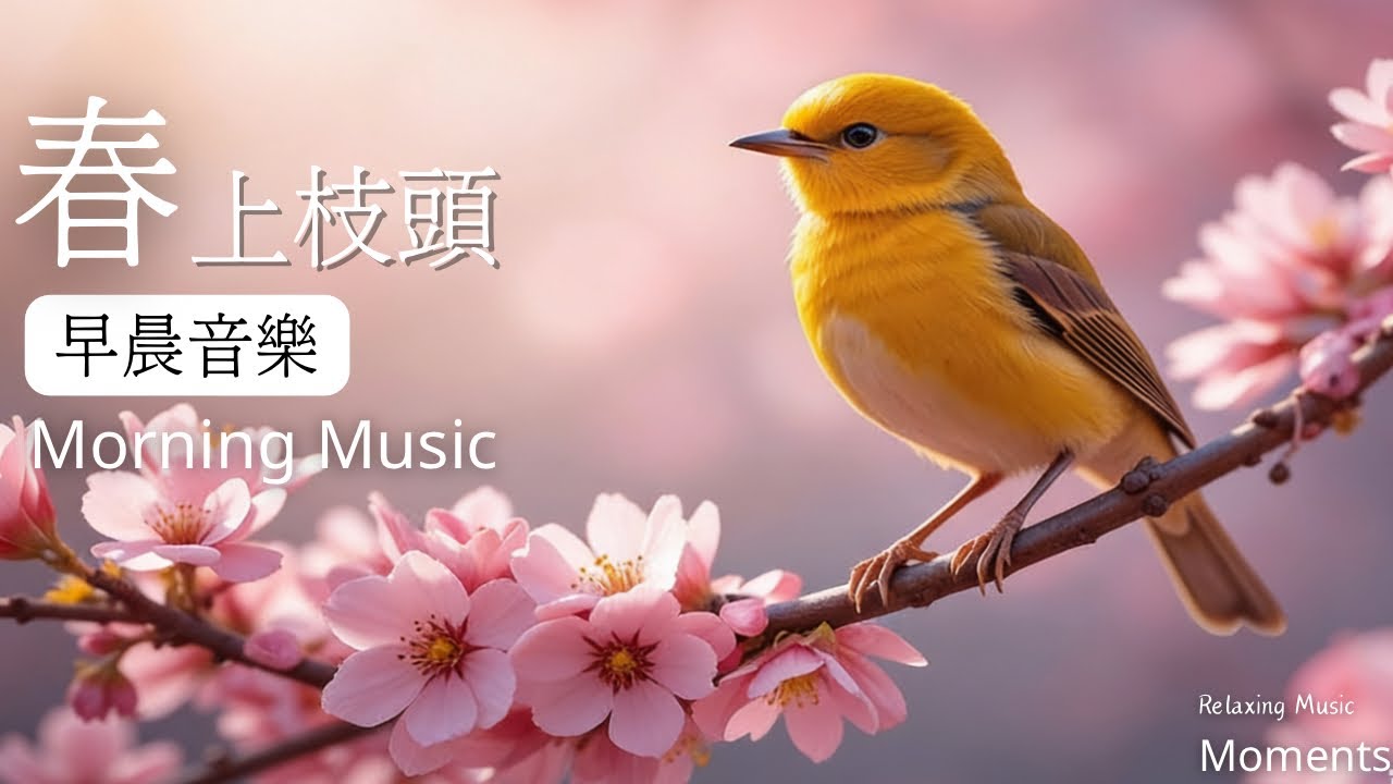早晨音樂時光｜在清新的空氣裡慢慢醒來｜🌤️枝頭上的晨光鋼琴音樂1小時|鋼琴水晶音樂|早晨療癒旋律|放鬆. 專注. 讀書. 工作#morning music#piano music#鋼琴音樂