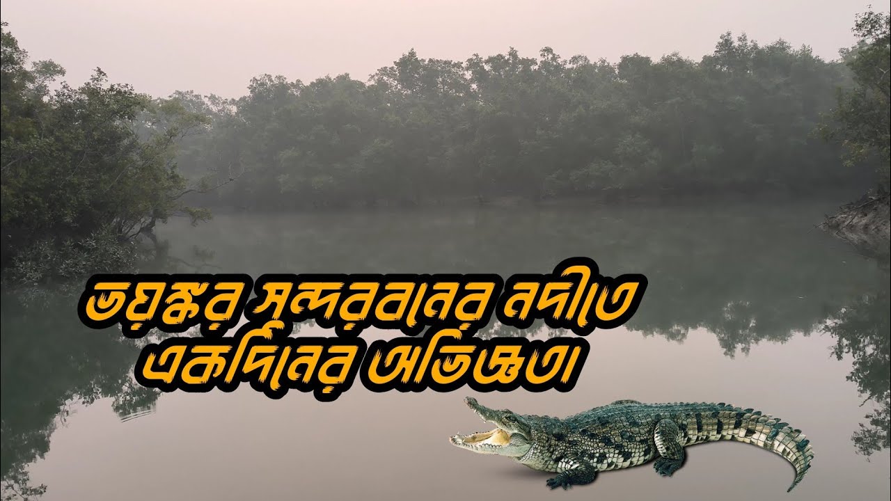 Maipith Sundarban এ একদিনের ভয়ঙ্কর অভিজ্ঞতা।#Sundarban #Moipith #dhananjayhalderofficialvlog