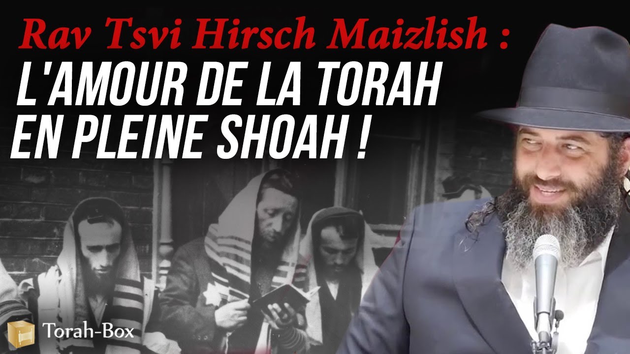 Rav Tsvi Hirsch Maizlish : L'amour de la Torah en pleine Shoah !! (Rav Ronen Chaoulov)