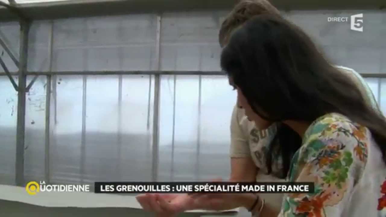 C'est la fête à la grenouille !