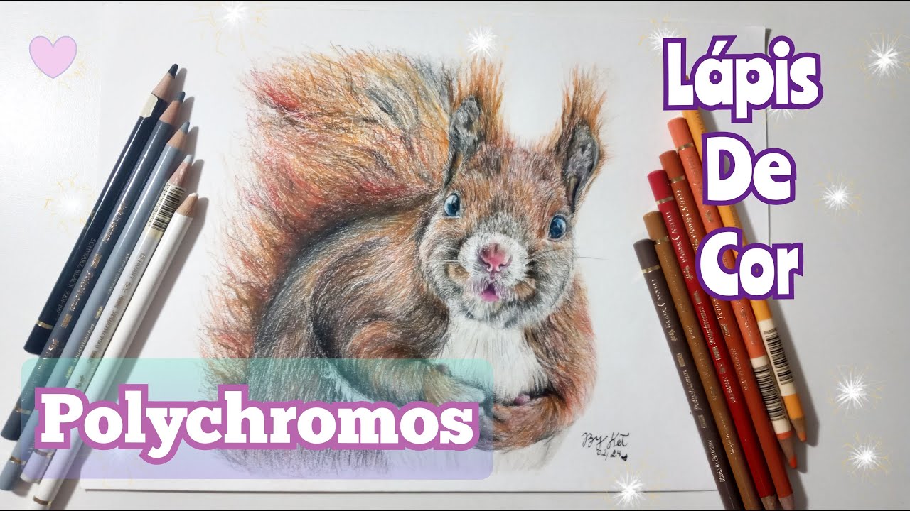 Desenho Realista de Esquilo com Lápis de Cor Polychromos - How to Draw a Squirrel / Salt Art By Ket