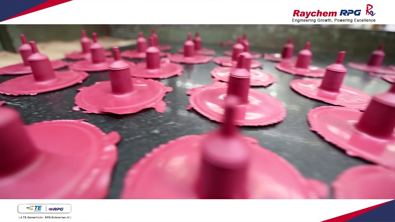 Vasai Facility - Raychem RPG