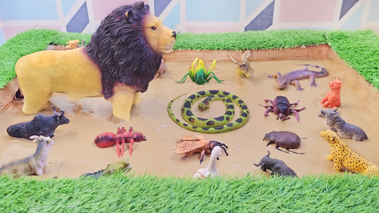 The Untamed Mission: Rescuing Animals, Insects and Exploring Nature Secrets