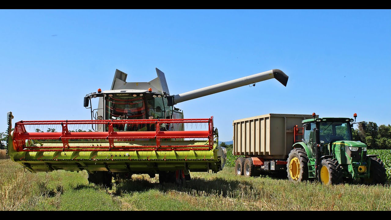 Moisson de colza 2016