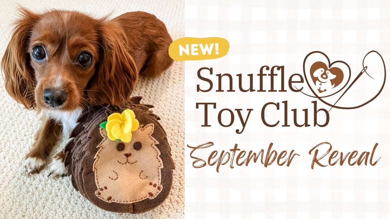 September Snuffle Dog Toy Box Kit Reveal 👀
