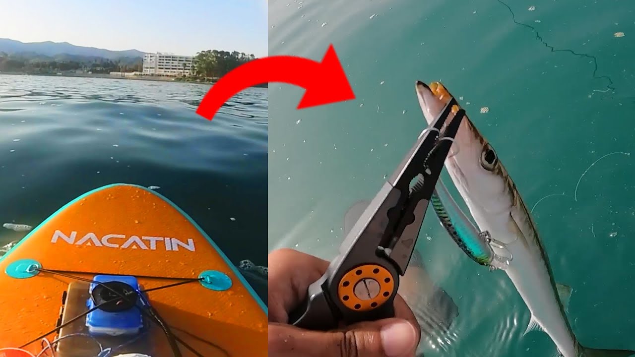 🔥 CÓMO PESCAR a CURRICÁN desde PADDLE SURF | TUTORIAL #pesca #pescaconseñuelos #pescaenpaddle