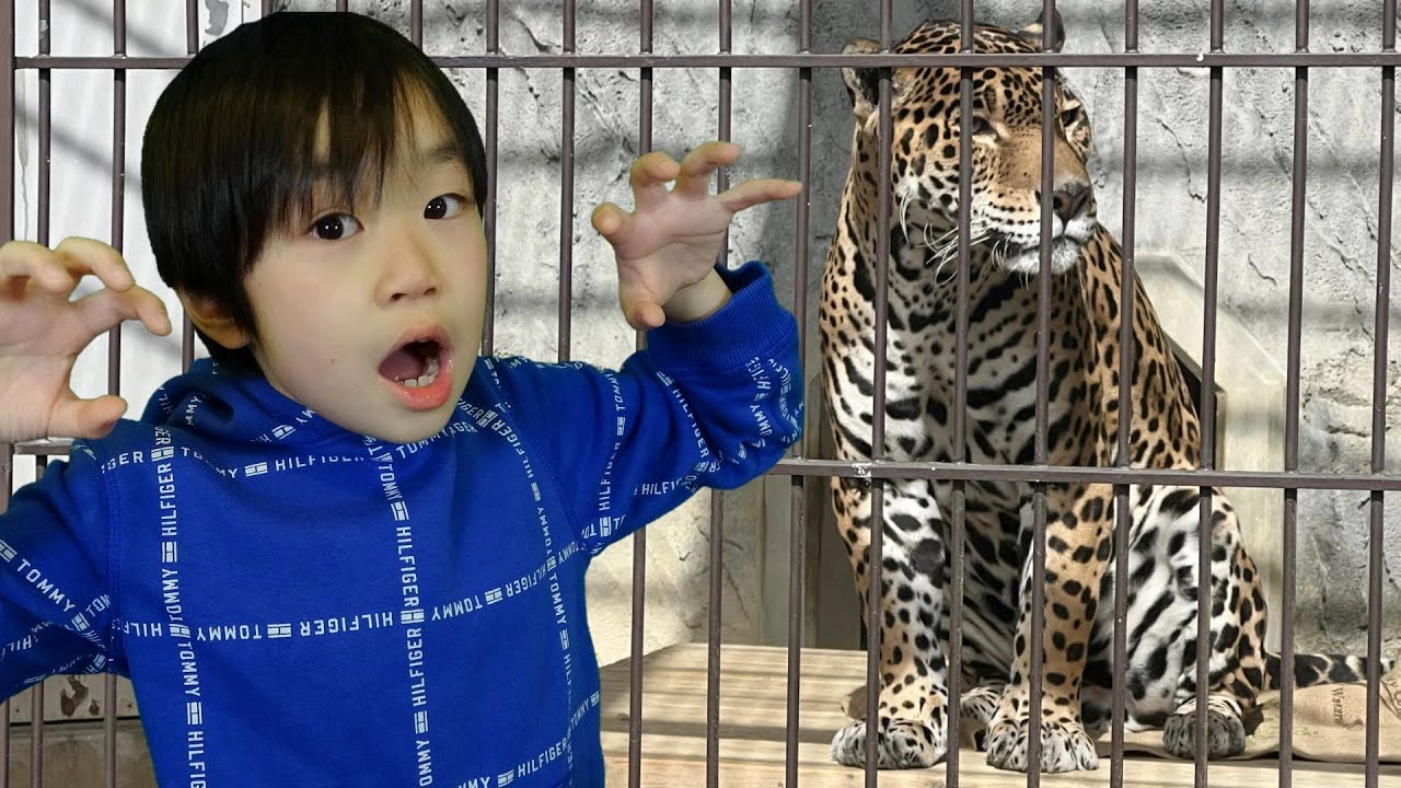 おでかけ 東山動植物園 どうぶつさんをみにいこう！ レオスマイル