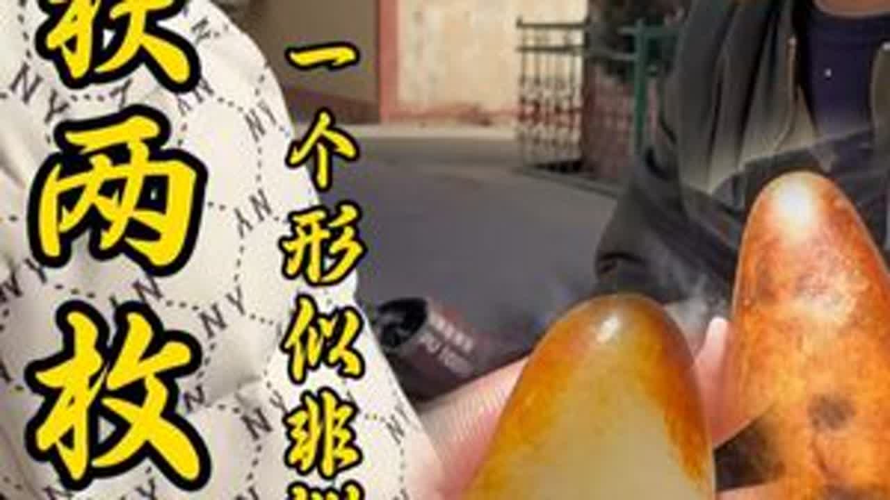 收获两枚籽料 一枚顶部红皮子的籽料，寓意出人头地，籽型完整，可以作为一个吊坠直接打孔佩戴。另一个是一个非常漂亮的摆件，形似大芒果，皮色漂亮，肉质细腻，无论放在家里还是办公室里都非常适合！#玉石籽...