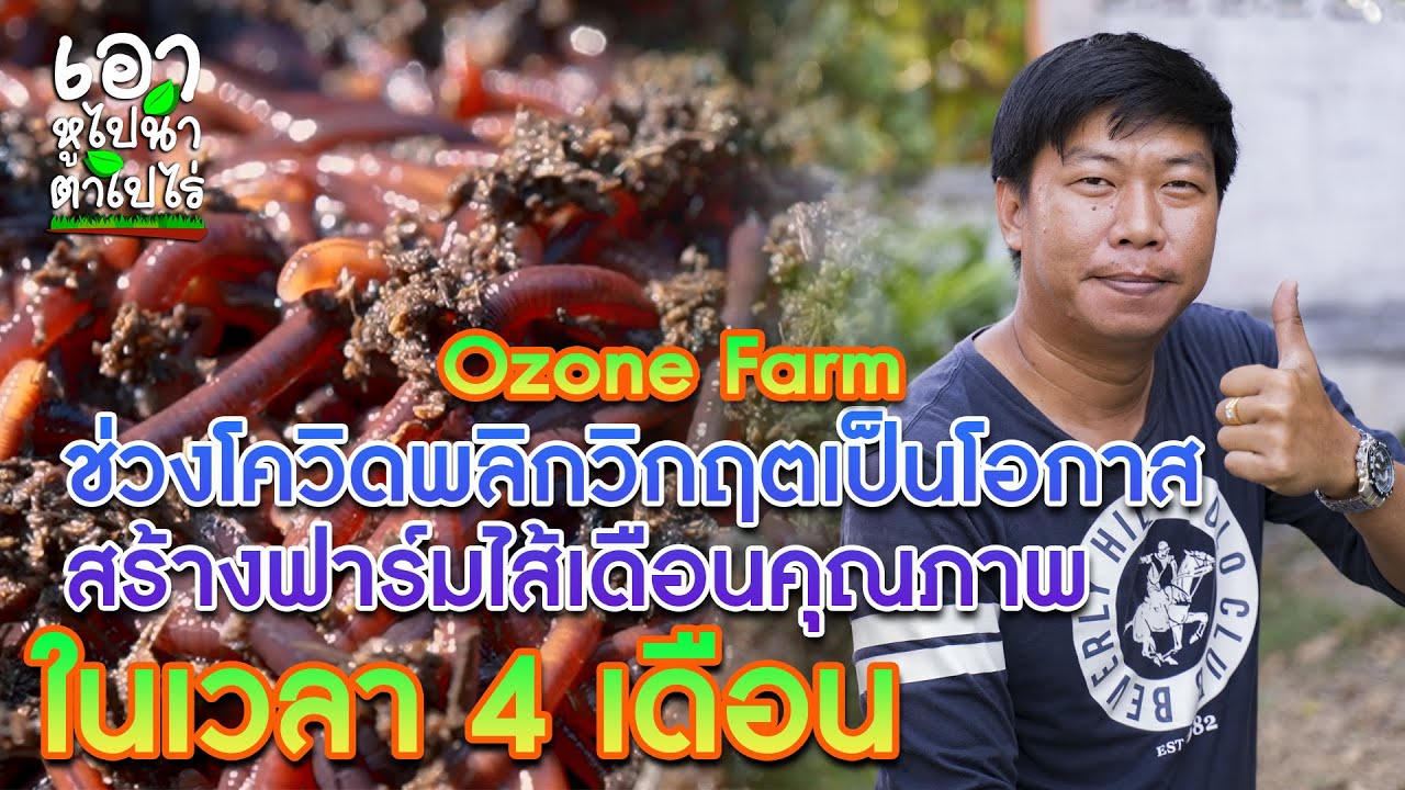 EP.13 ช่วงโควิดพลิกวิกฤตเป็นโอกาส สร้างฟาร์มไส้เดือนคุณภาพ ในเวลา 4 เดือน #วิธีเลี้ยงไส้เดือน